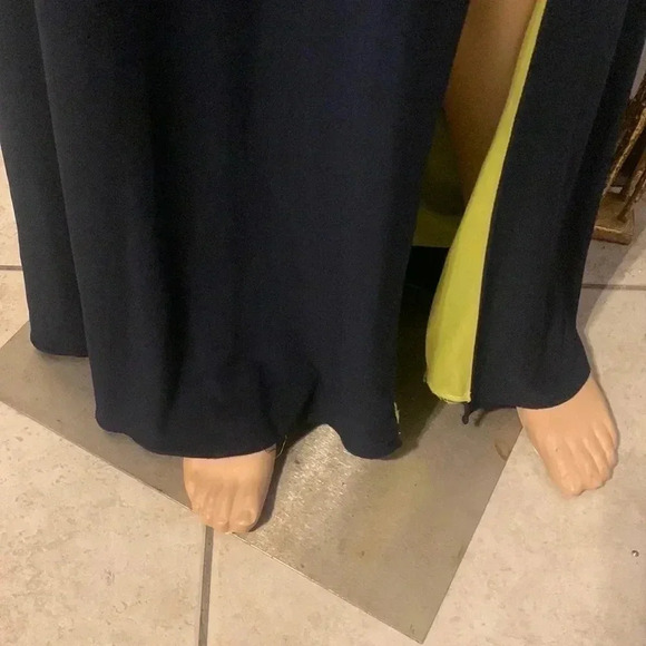 Betsy Adam dress - Picture 8 of 13